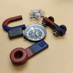 paper bear Magnetic Field Learning Starter Kit image 3