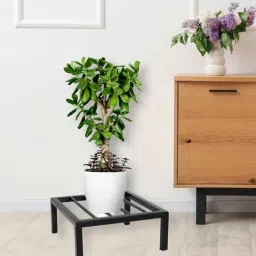 Squre Metal Plant Stand-image-15