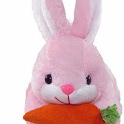 rss soft toys 2 Soft Toys Best Gift For Couple,Ventine Gift,Anniversary Gift - 26 cm image 4