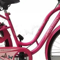 bsa Lady Bird sofia City Bicycle Comfert Handle & Relaxble Seat 90%Assembled 26 T (inch) Hybrid Cycle/City Bike image 2