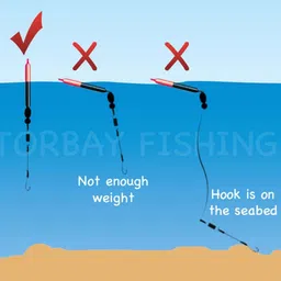 coral india Yes Fishing Line Board image 4