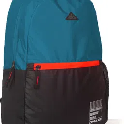 divulge Medium 24 L Backpack Coral Daypack, Backpack, College bags, Office bags, For Men and Women 24 liters image 2