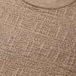 Men Self Design Round Neck Beige Sweater-image-29