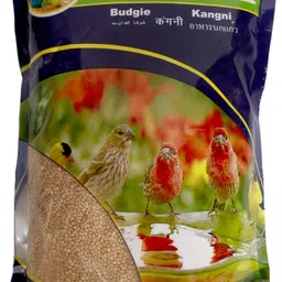 toya Budgie Bird Food 3 kg Dry New Born, Young, Adult Bird Food-picture-27