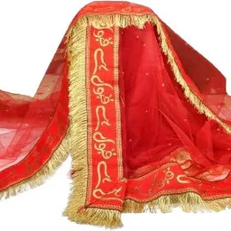 autobuyenterprise Net Embroidered Red Women Dupatta-picture-17