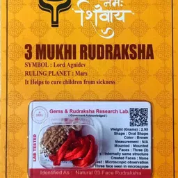 divine rudras 3 Mukhi Rudraksha With Pendant Lab Certified 10-14Mm Size Stone Pendant-picture-13