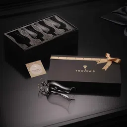 trovea's Fountain Cocktail Glass 480 Ml (Set Of 4) image 5