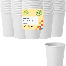 shrayati Paper-picture-24