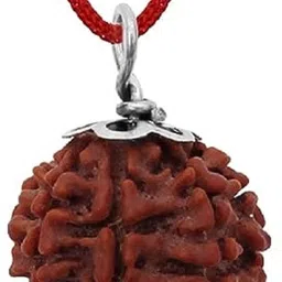 happy creation Original 7 Mukhi Nepali Rudraksha Seven Face Rudraksh Wood Pendant image 2