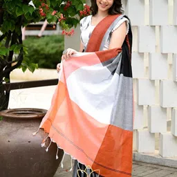 shyamali boutique Woven Handloom Cotton Blend Saree image 2