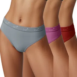 lily Pack of 3 Women Hipster Grey, Purple, Maroon Panty-picture-18