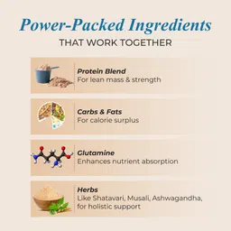 patanjali NUTREAL WEIGHT GAIN Weight Gainers/Mass Gainers image 3