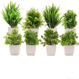 etech 08GREENgr Green Wild Flower Artificial Flower with Pot-picture-23