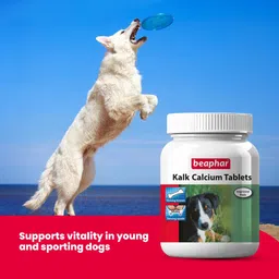 beapher kalk Calcium D3 Tablets | Bone Health Supplement for Active Lifestyle Pet Health Supplements image 3