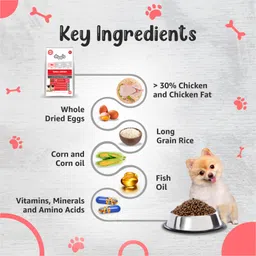 drools Small Breed Puppy, Premium Chicken 3 kg Dry New Born Dog Food image 5