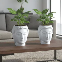 grow green Buddha White Flower Pot – Stylish Indoor & Outdoor Planters Plant Container Set image 1