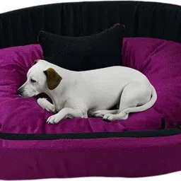 havens dream Dog Bed, Sofas Bed & Chairs Bed With Haddi M Pet Bed-picture-14