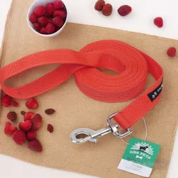 gns pets Dog Leash Collar combo 6 feet Nylon strap with SS hook for training PET Puppy 182 cm Dog Strap Leash image 2