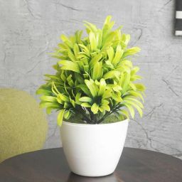 foliyaj Plastic Green And Blend Long Leaves With Pot Artificial Plants-picture-6