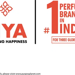 riya Classico Body Deodorant Spray - For Men image 4