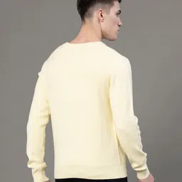 red tape Men Solid Round Neck Yellow Sweater image 3