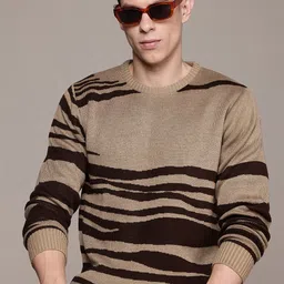 roadster Men Striped Round Neck Beige Sweater-picture-32