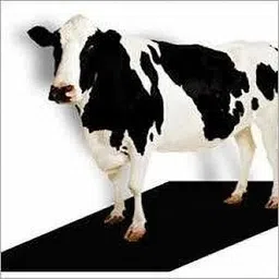 ursus Comfort Long-Lasting and Durable Mat for Pets Cow, Dog, Guinea Pig, Hamster, Miniature Pig Pet Mat-picture-37