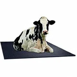 haryana king Waterproof, Raised Edges, Mat for Cows Mat for Animal (Standard, Black) Cow, Dog, Hamster, Guinea Pig, Miniature Pig Pet Mat image 2