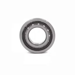 NTN 190x340x55mm N Type Cylindrical Roller Bearing, N238-picture-32