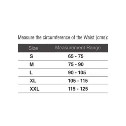 Vissco XL New Design Sacro Lumber Belt, 101 image 5