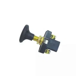 Car International Push Pull Switch In Black &a; Golden Plastic for Universal Bus, Ci-9569, CAR-FGU608-picture-23