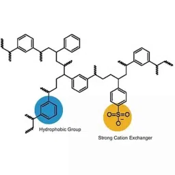 Lab Plus Solid Phase Extraction Columns Polymer Solid Phase 600 m2/g, LP-1294 (Pack of 100)-picture-22