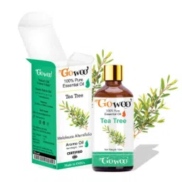 GoWoo 2 Pcs 10ml Rosemary &a; Tea Tree Aroma Oil Set, GWOC5-P43+P45 image 3