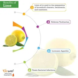 GoWoo 2 Pcs 10ml Natural Lime Aroma Oil &a; 100ml Walnut Carrier Oil Set, GWOC803-P29+P183 image 4