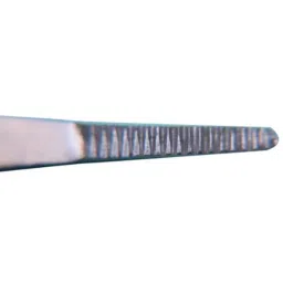 KDB 11 inch Stainless Steel Plain Dissecting Forceps image 3