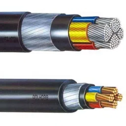 Polycab 16 Sqmm 4 Core Copper Conductor Armoured LT Power Cable, SISLV4X1610854-picture-37