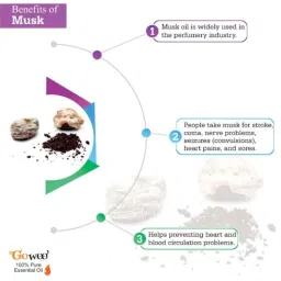 GoWoo 2 Pcs 10ml Natural Therapeutic Grade Cold Pressed Musk Aroma Oil &a; 100ml Pomegranate Seed Carrier Oil Set, GWOC966-P35+P184 image 4