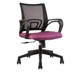 Innowin Pine Purple Mesh Low Back Ergonomic Chair-picture-46