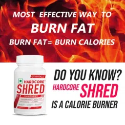 Gymvitals 90Pcs Hardcore Shred Calorie Burner Capsule image 2