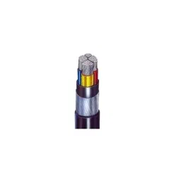 KEI 185 Sqmm 2 Core Aluminium XLPE Insulated Armoured Power Cable, A2XFY, Length: 100 m-picture-21