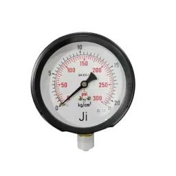 Japsin Instrumentation 0-21kg/cm² Pressure Gauge with Dual Scale 300 PSI, Connection: 3/8 inch, JI-161-picture-22