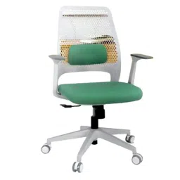 Oakcraft Polo Green High Back Office Chair with Adjustable Lumbar Support Modern Swivel Padded, OC-11-picture-40