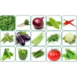 Aero Seeds 150g 15 Varieties Vegetable Seeds, Aero-Veg-15-image-37