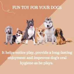 Agarwals 2.5 inch Non-Toxic Rubber Red Dog Teething Toy image 5