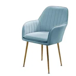 Oakcraft Cyan Chrome Finish Luxurious Dining Accent Chair with Metal Leg, OC-204-picture-43