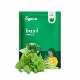 Ugaoo 25g Vegetable Italian Basil Seeds, NUHSO007-picture-19