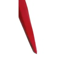 B K Jagan &a; Co 254mm Metal Flat Head Chisel image 4