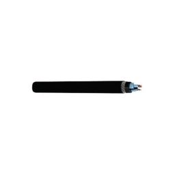 RR Kabel 2.5 Sqmm 24 Core Black Shielded Armoured Cable, Length: 100m-picture-22