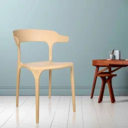 Rose Vision Plastic Rust Medium Back Cafe Chair with Backrest (Pack of 4) image 3