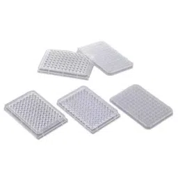 Lab Plus Violamo 96 Well Plate, LP-4710 (Pack of 104)-picture-35